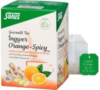 Tisane Salus Gourmet Gingembre Orange-Spicy, Tisane aux épices 15X2 g