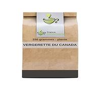 Tisane Vergerette du Canada (Erigeron) plante CT 250 GRS Erigeron Canad