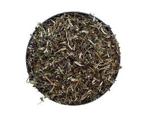 Tisane Véronique plante CT 1kg Veronica officinalis