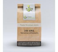 Tisane Véronique Plante Ct 250 Grs Veronica Officinalis