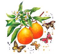 Tischdeko Lot de 20 Serviettes de Table en Forme d'agrumes et de Papillons en été.