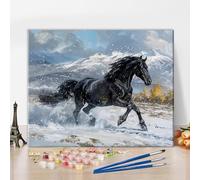 TISHIRON Cheval noir peinture par numéros adultes animaux peinture par numéros kit bricolage dessin sur toile peinture à l'huile pour la décoration murale de la maison 40 x 50 cm (sans cadre)