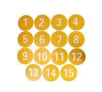 TISHITA 15 Pièces Marqueur d'Entraînement Enfant Disques de Repérage Numérotés Surface Plane Marqueurs de Limites PVC Résistant pour Parcours Suitable pour, Jaune