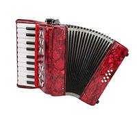 Tissting Accordion Piano 8 Bass 22 Key, Musical Instrument Ergonomically Designed Convenient to Carry Flexible Playable for Beginners Outdoor Concerts Piano Accordions