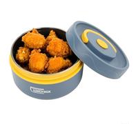 Tissting Récipient à Déjeuner Chaud pour Aliments, 420ml Boîte à Déjeuner Bento, Récipient à Déjeuner Thermique Portable à Double Couche en Acier Inoxydable 304 (Modèle D'isolation Thermique -Bleu)