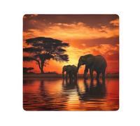 Tissu autocollant pour appareil photo, objectif, ordinateur portable, 45 x 45 cm, orange éléphant