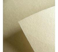 Tissu stabilisateur de renfort de Vilene Decovil - Qualités égales à celles du cuir, idéal pour la création de sacs - 90 cm de large (au mètre), beige, By The Metre