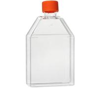 Tissue Culture Flask, Vented Cover, TC Treated, No Enzyme 75cm²