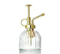 TITA-DONG Flacon Pulvérisateur en Verre de 200 Ml, Pulvérisateur de Plantes Vintage, Brumisateur de Fleurs de Jardin, Petit Arrosoir Décoratif, Petit Pulvérisateur de Plantes pour Plantes(Clair)
