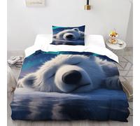 TiTCiveR Polar Ours Aurora Housse De Couette 2 Pièces Aesthetic PolarAnimal Parure De Lit Linge De Lit Microfibre pour Adulte Et Enfant avec Taies d'oreiller Single（135x200cm）