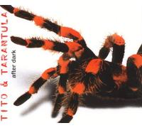 Tito & Tarantula - After Dark (Single Version, 1998, Plus 3 Live Tracks) [Import]