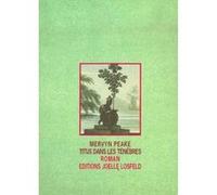Titus dans les ténèbres Mervyn Peake (Auteur), Bernard Hoepffner (Traduction)