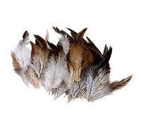 Tiuimk Lot de 50 plumes de coq naturelles douces et légères pour travaux manuels et décoration