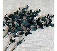 TIVAS Petites Branches de Feuilles séchées Naturelles 10-20cm, 12 pièces, Eucalyptus Tenuifolia préservé, Bricolage pour la Fabrication de Bougies, Fournitures en résine
