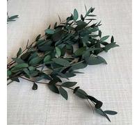 TIVAS Petites Branches de Feuilles séchées Naturelles 10-20cm, 12 pièces, Eucalyptus Tenuifolia préservé, Bricolage pour la Fabrication de Bougies, Fournitures en résine