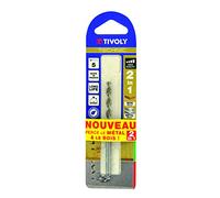 Tivoly 10804420400 Blister de 1 Foret Bois-Métal 2 en 1 Technic Gradués, Gris, Ø 4 mm