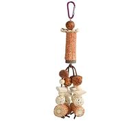 Tixiyu Jouet à mâcher pour perroquet, épis de maïs, os de calamar, jouet à mâcher pour perroquet, calamar, perroquet, cacatoès, perruche (modèle boule en rotin)