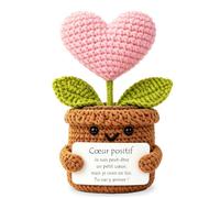 Tixlux Cœur en Pot Positif, Cadeau Cœur en Pot Optimiste Faite Main avec Petit Câlin Porte-Bonheur, Cadeau Remonter Le Moral, Bon Rétablissement, Cadeaux pour Femme Anniversaire Pâques