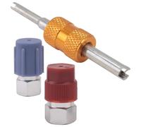 tiyao Kit de Conversion R12 Vers R134a, Kit D'Adaptateur de Raccord AC, 1/4 Pouce, pour Système Réfrigérant A/C Automatique