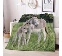 Tizhweqo Couverture Polaire 130x170 âne 3D Plaid Couverture Polaire Animaux de la Ferme Plaid Doux et Chaud Flanelle en Microfibre Couvertures et Plaids pour Lit Jeté de Canapé 3676t