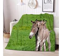 Tizhweqo Couverture Polaire 180x220 âne 3D Plaid Couverture Polaire âne Plaid Doux et Chaud Flanelle en Microfibre Couvertures et Plaids pour Lit Jeté de Canapé, Toutes Les Saisons 3093t