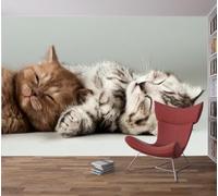 Tizhweqo Papier Peint Panoramique Chat Chaton 150x105 cm (WxH) 3D Papier Peint Intissé Chat de Compagnie Photo Poster Mural pour Chambre Salon Décoration Murale pour Adulte et Enfant 1001v