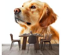 Tizhweqo Papier Peint Panoramique Récupérateur D'or 450x315 cm (WxH) 3D Papier Peint Intissé Chien Mignon Photo Poster Mural pour Chambre Salon Décoration Murale pour Adulte et Enfant 111v