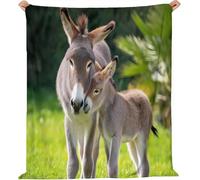Tizhweqo Plaid Polaire âne, 3D Plaid Couverture Polaire 130x150 cm Animaux de la Ferme Imprimée Flanelle Blanket Literie 1 Personne, Couvertures en Microfibre Doux et Chaude pour Canape Lit 4773p