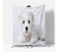 Tizhweqo Plaid Polaire Chien Mignon, 3D Plaid Couverture Polaire 220x240 cm Garçon Fille Imprimée Flanelle Blanket Literie 2 Personnes, Couvertures en Microfibre Doux et Chaude pour Canape Lit 5336p