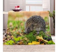 Tizhweqo Plaid Polaire Hérisson, 3D Plaid Couverture Polaire 150x200 cm Animaux Imprimée Flanelle Blanket Literie 1 Personne, Couvertures en Microfibre Doux et Chaude pour Canape Lit 5567p