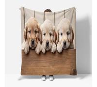 Tizhweqo Plaid Polaire Labrador, 3D Plaid Couverture Polaire 100x150 cm Chien Imprimée Flanelle Blanket Literie 1 Personne, Couvertures en Microfibre Doux et Chaude pour Canape Lit 4637p