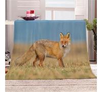 Tizhweqo Plaid Polaire Renard Roux, 3D Plaid Couverture Polaire 180x220 cm Animaux Imprimée Flanelle Blanket Literie 2 Personnes, Couvertures en Microfibre Doux et Chaude pour Canape Lit 5721p