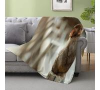 Tizhweqo Plaid Polaire Singe, 3D Plaid Couverture Polaire 150x200 cm Singe Imprimée Flanelle Blanket Literie 1 Personne, Couvertures en Microfibre Doux et Chaude pour Canape Lit 50p