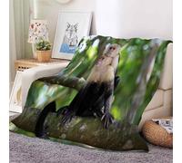 Tizhweqo Plaid Polaire Singe, 3D Plaid Couverture Polaire 200x230 cm Singe Imprimée Flanelle Blanket Literie 2 Personnes, Couvertures en Microfibre Doux et Chaude pour Canape Lit 187p