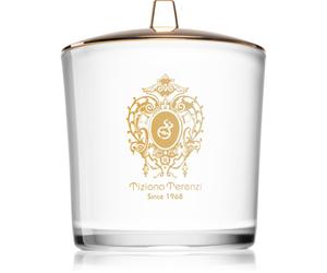 Tiziana Terenzi Spicy Snow bougie parfumée avec mèche en bois 500 g