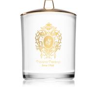 Tiziana Terenzi Spicy Snow bougie parfumée avec mèche en bois 900 g