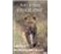 Tjololo, un léopard dans la nuit G