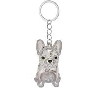 Tkidplw Boîte porte-clés commémorative transparente pour animaux domestiques - Boîte de rangement miniature pour les propriétaires de chiens - Design étanche - Cadeau de voyage sentimental - Boîte de
