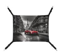 TKJMCSW City Street Hamac pour chat en forme de voiture rouge pour cage de rat, furet Hamac pour chat de grande taille à suspendre