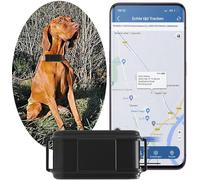 TKMARS Collier GPS pour Chien Suivi GPS Chien en Temps Réel étanche IP67, avec Communication Bidirectionnelle, Alarmes Sonores et Visuelles et Statistiques de Podomètre