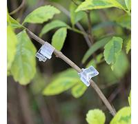 TKSE 100 Pcs Plantes Pince de Greffage, Pince de greffage spéciale Tomate semis greffage Clip Transparent Aubergine greffage Pince pour Vigne Légumes Tomate Fruits