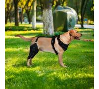 Tktouci Attelle pour Patte Arrière De Chien - avec Stabilisateurs Métal Harnais Genou Ajustable,Manche Soutien Stabilisateur Patte Chien - pour Soin Récupération Prévention Léchage Blessures Mobilité