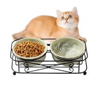 Tktouci Écuelle À Nourriture pour Chat | Plat avec Support | Bol en Céramique pour Nourriture et Eau de Chien - Fournitures pour Animaux pour Alimentation des Petits Chiens Chiots Chatons D'Intérieur
