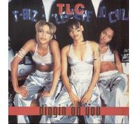 TLC - DIGGIN' ON YOU 12 INCH (12" SINGLE) UK LAFACE 1995 (Katalog-Nummer: 74321319241)