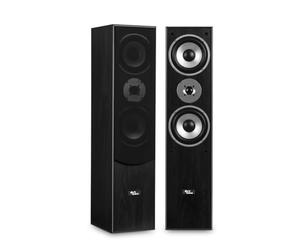 TLC Paire d'enceintes HiFi/Home-Cinéma 2x500W L766-BK