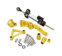 TLCBAZCF Accessoires Moto, Amortisseur stabilisateur, Support de Montage de Direction Complet Compatible avec Ducati 696 796 795 Monster 2008-(F)