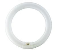 TLE 22W 840 4P MASTER TL-E Circulaire Super 80 928026284070