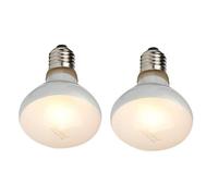 Tlilyy Lot de 2 Ampoules de Lampe Chauffante Uvb Uva Reptile pour, Chaleur et Semblable au Soleil, pour, Amphibiens et Oiseaux (100 W)