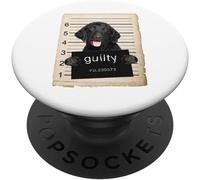 Tlp-Curly-Coated Retriever Dog Mug Shot Bad Dog Popsockets Popgrip - Support Et Grip Pour Smartphone/Tablette Avec Un Top Interchangeable