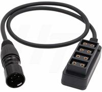 TLP-HangTon Bloc Batterie 12V XLR 4 Broches répartiteur d'alimentation vers D-Tap 4 Ports Adaptateur convertisseur 12 Pouces (30 cm)